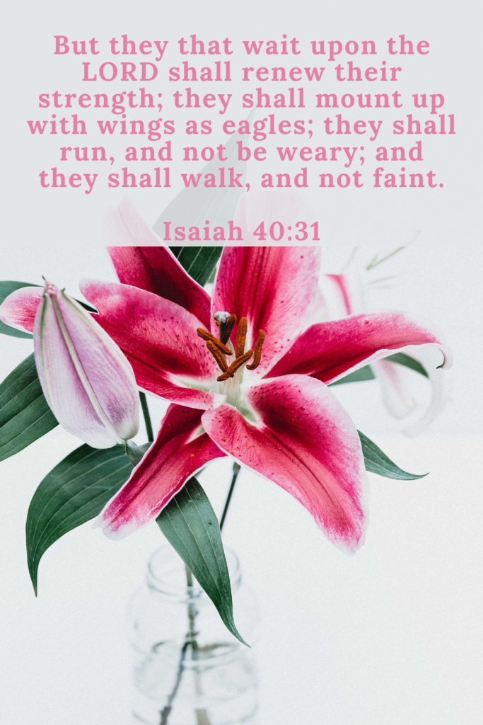 But they who wait for the Lord shall renew their strength; they shall mount up with wings like eagles;
they shall run and not be weary; they shall walk and not faint. Isaiah 40:31