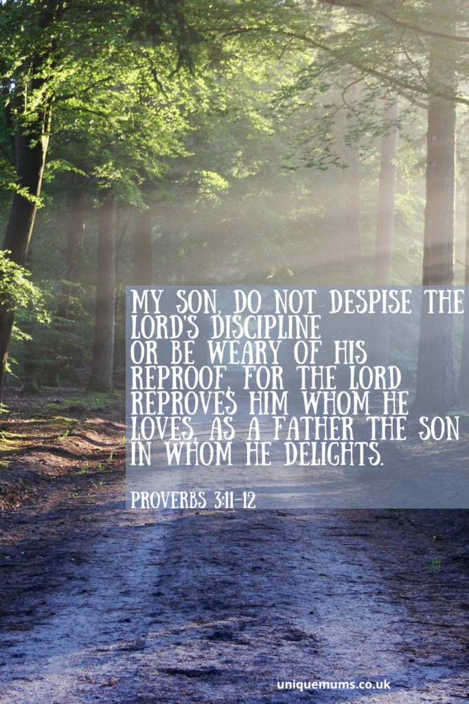 my son do not despise the Lord's discipline