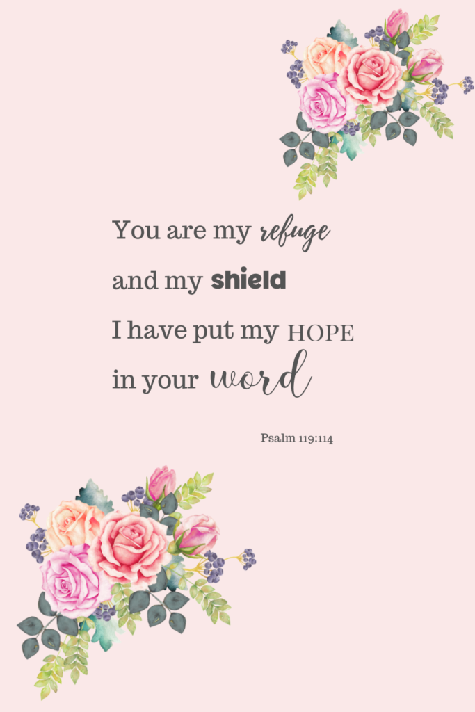 you are my refuge and my shield, I have put my hope in your word - Psalm 119:114
inspiring bible quote