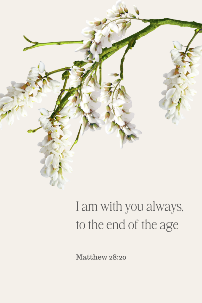 I am with you always to the end of the age - matthew 28:20 - inspiring bible quotw