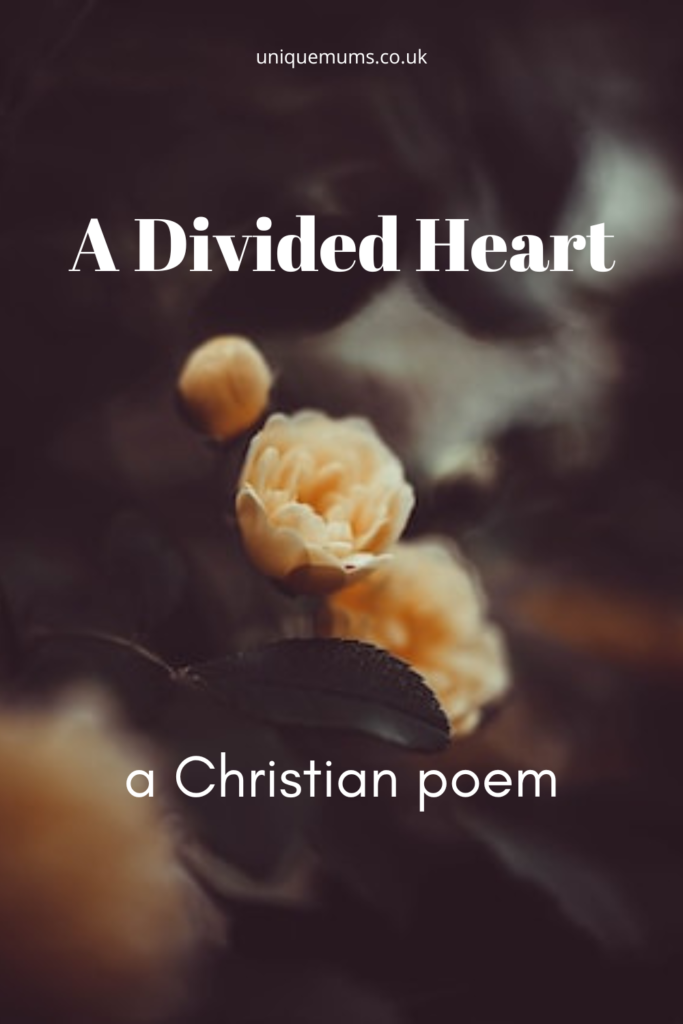 a divided heart
